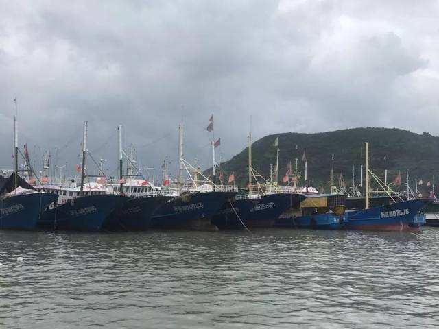 港口气象站图片2