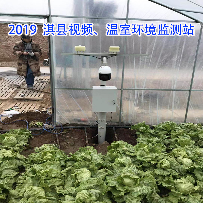 2019  淇县视频、温室环境监测站